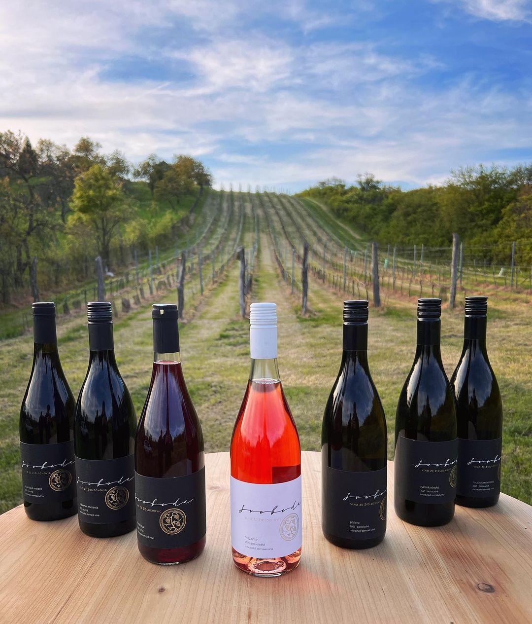 vino_zidlochovice_svoboda_nase_vina_vyber_1 vino_zidlochovice_svoboda_nase_vina_vyber_1